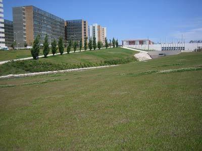 Cardoso Pires 2 Bedrooms Apt. Lisbon Ruang foto